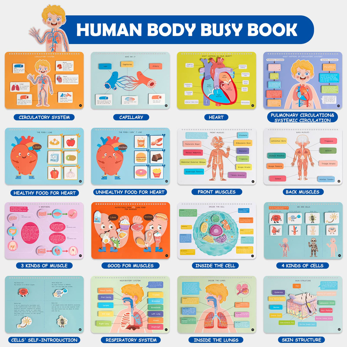 Freebear Busy Book anatomy activities encourage hands-on body exploration