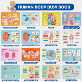 Freebear Busy Book anatomy activities encourage hands-on body exploration