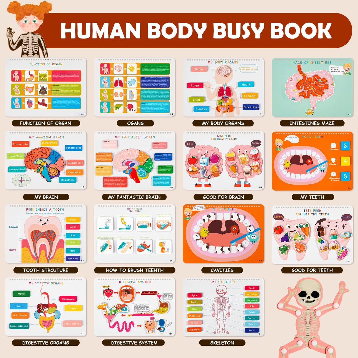 Freebear Montessori Busy Book skeleton toy for interactive anatomy play with curious minds.