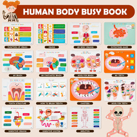 Freebear Montessori Busy Book skeleton toy for interactive anatomy play with curious minds.