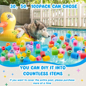 Frienda pool noodles diy creative projects inspire imaginative reuse beyond the pool.