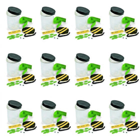 Fun Express bug jar kit showing all 12 clear jars ready for classroom science and group activities.