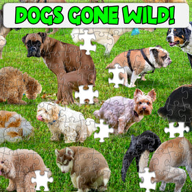 Funwares Original 101 Puppies dogs feature showcases diverse breeds for dog lovers