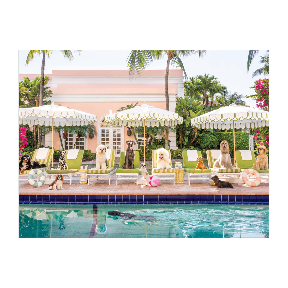 Galison Gray Malin Palm Beach dogs by pool—vivid scene for relaxing family puzzle night.