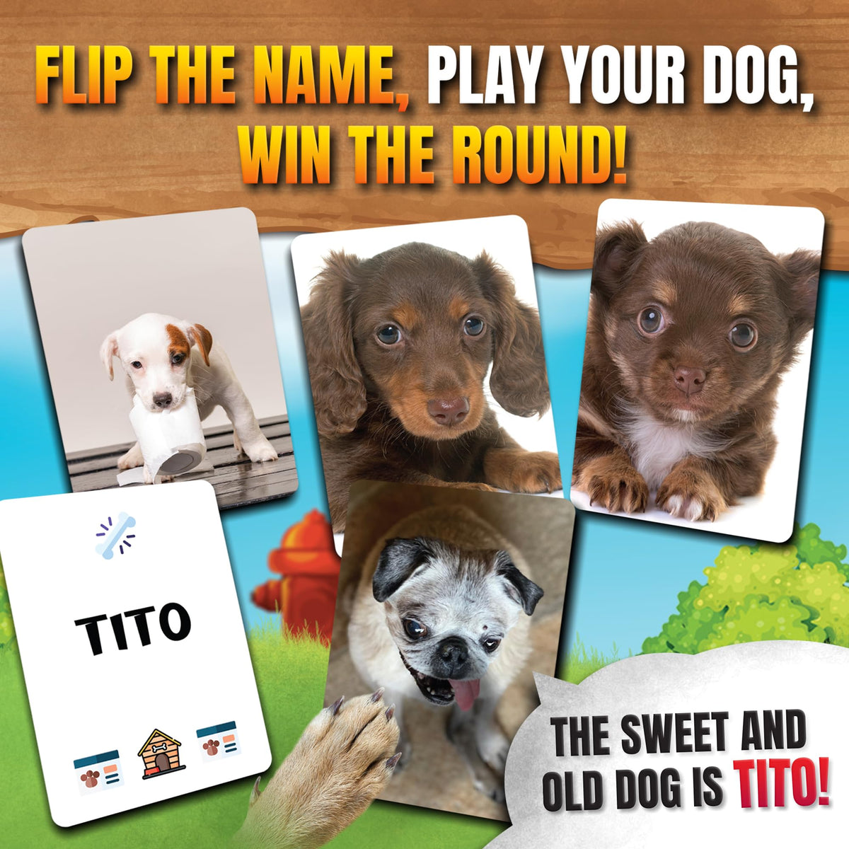 Game That Song Name That Puppy card stack, easy-to-learn party game for kids