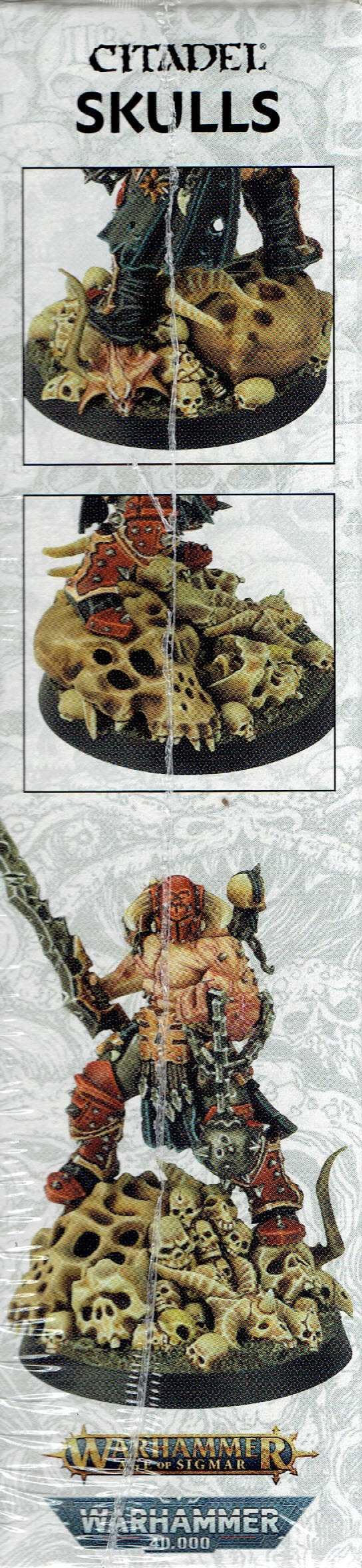 Sample variety of Citadel Skulls for basing modeling and dioramas