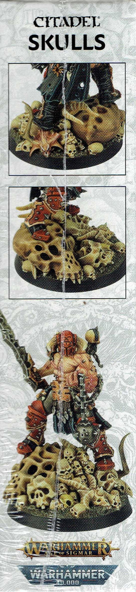 Sample variety of Citadel Skulls for basing modeling and dioramas