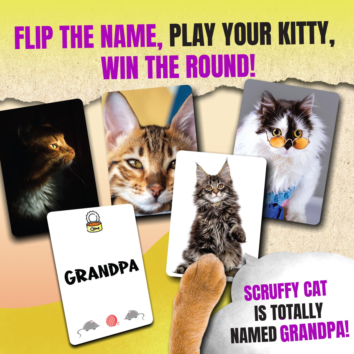Game That Song Name That Kitty players holding cards ready for a fast, friendly contest