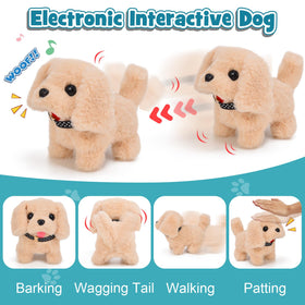G.C doctor costume set for authentic role-play and dressing up