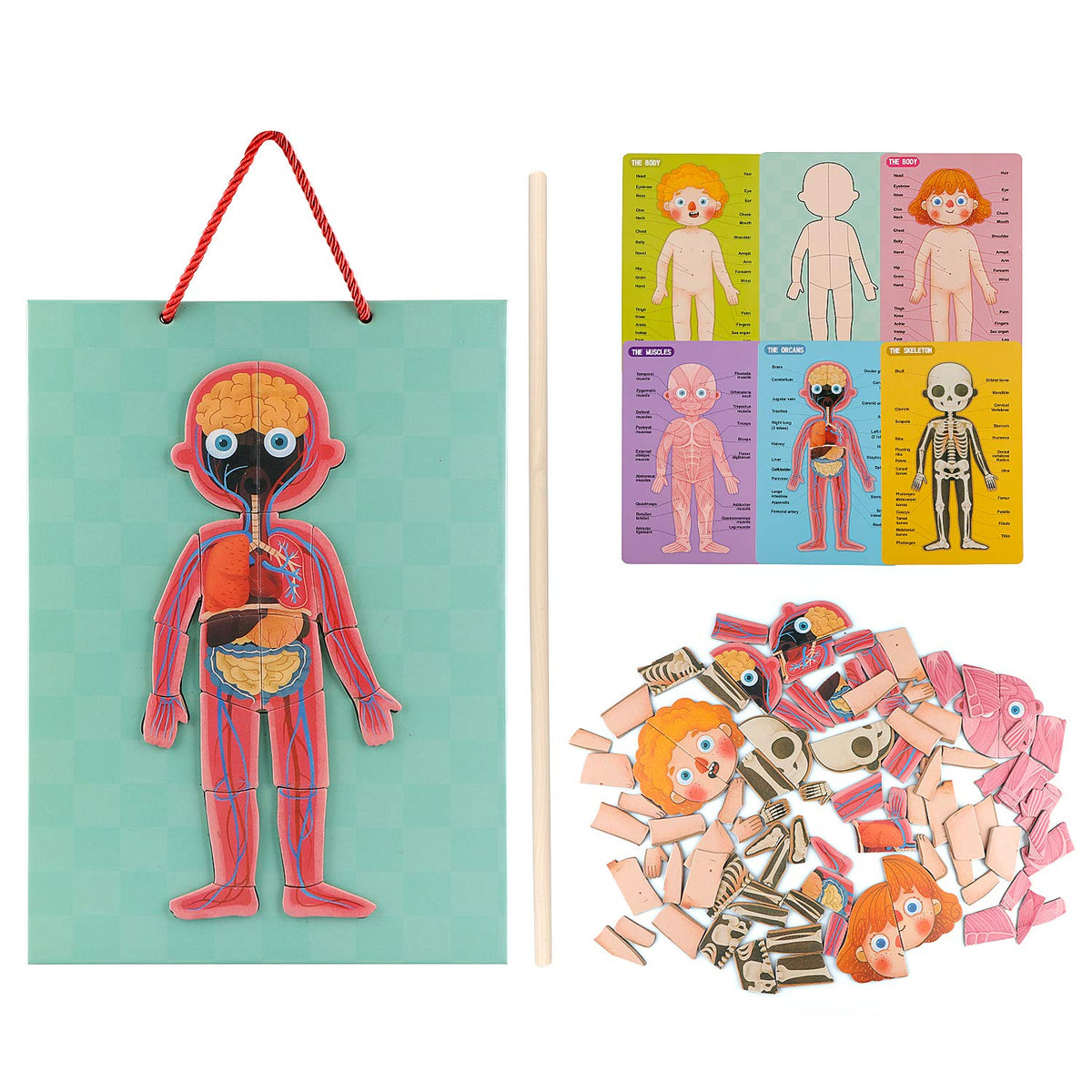 Gemileo Magnetic Pieces: snap together easily for little hands