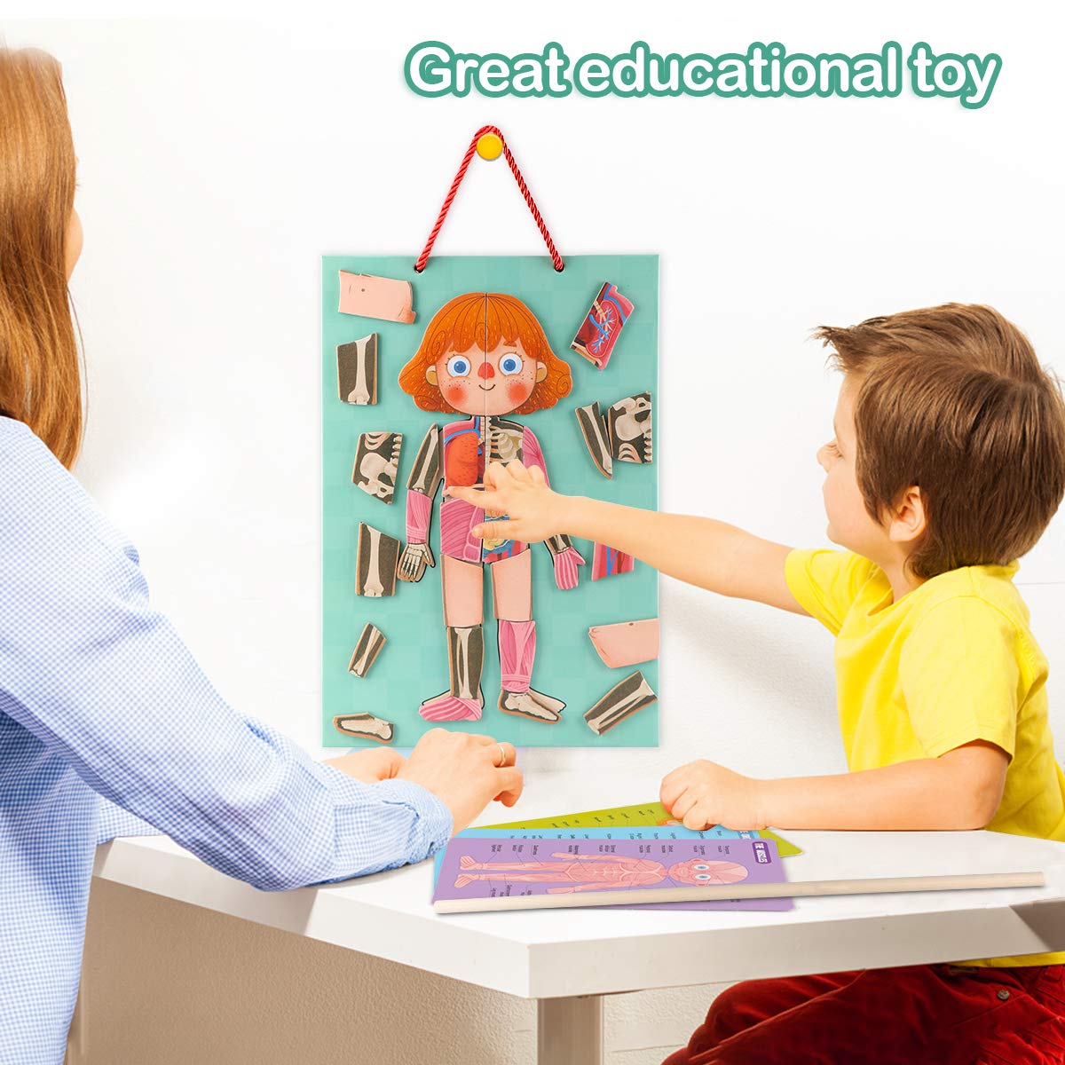 Gemileo Human Body Puzzle Skeleton Pieces: durable wood aids bone mastery through hands-on exploration