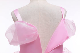 Generic Aurora Princess outfit on child during party for a sparkling celebration.