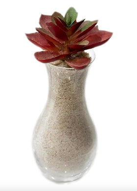 Generic Natural Sand adds mineral-rich base to garden pots and landscape projects.