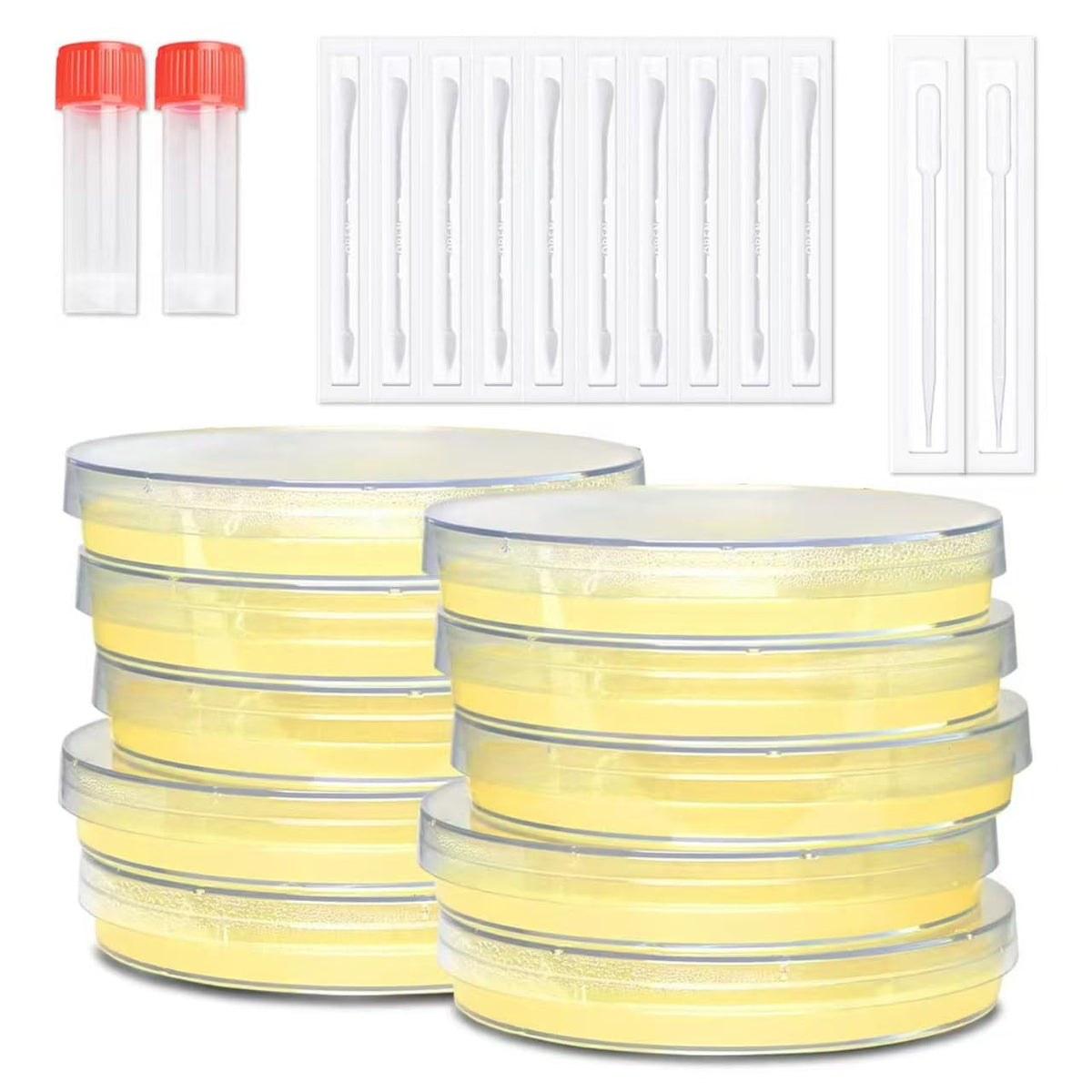 Generic Nutrient Agar Petri Dishes Kit with 10 plates for science projects