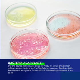 Generic Nutrient Agar Petri Dishes Kit for safe home mold testing