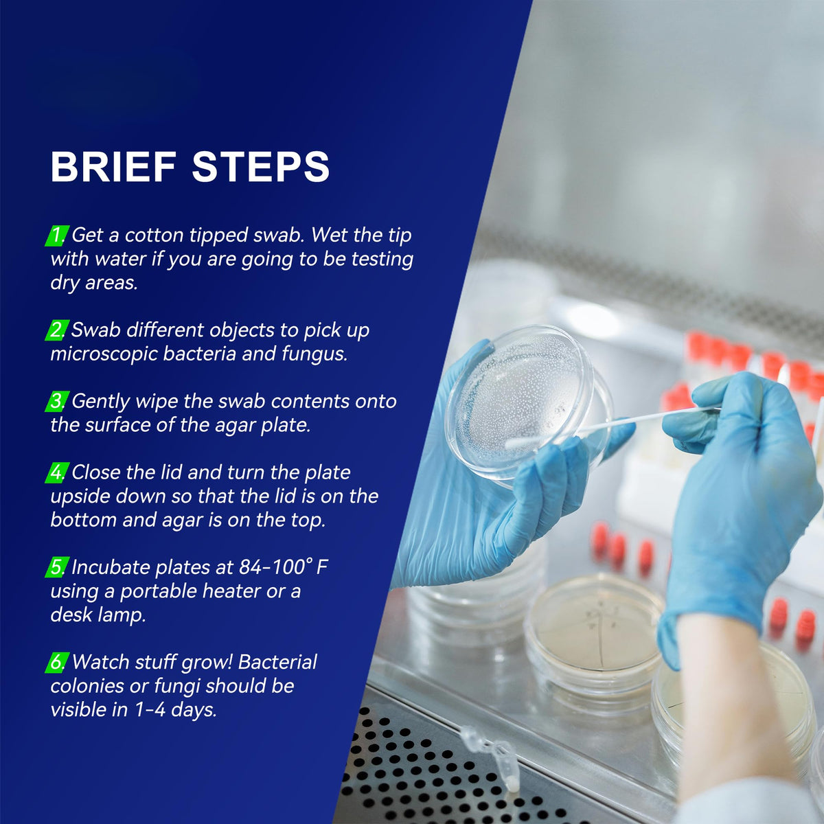 Generic Nutrient Agar Petri Dishes Kit with pipettes for experiments