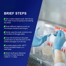 Generic Nutrient Agar Petri Dishes Kit with pipettes for experiments