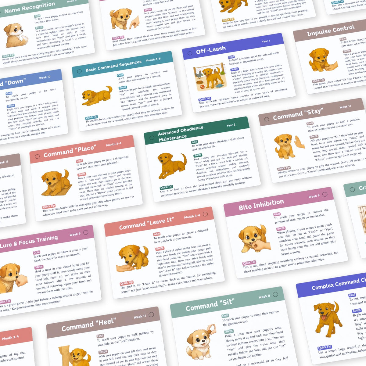 Generic Puppy Training Cards crate training visuals guide calm crate routines.
