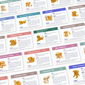Generic Puppy Training Cards crate training visuals guide calm crate routines.