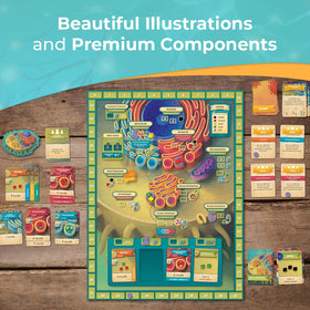Genius Games Cytosis: rulebook excerpt included to reinforce accurate biology concepts.