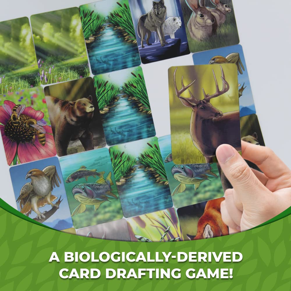 Genius Games Ecosystem forest habitat card shows trees and predator-prey dynamics.