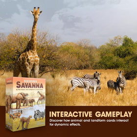Genius Games Ecosystem Savanna setup and components support easy-to-learn gameplay.