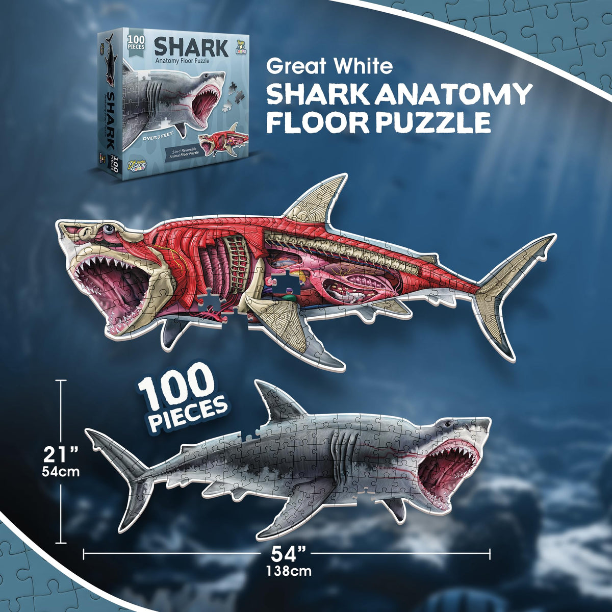 Genius Games educational puzzle sparks curiosity through science and nature exploration.