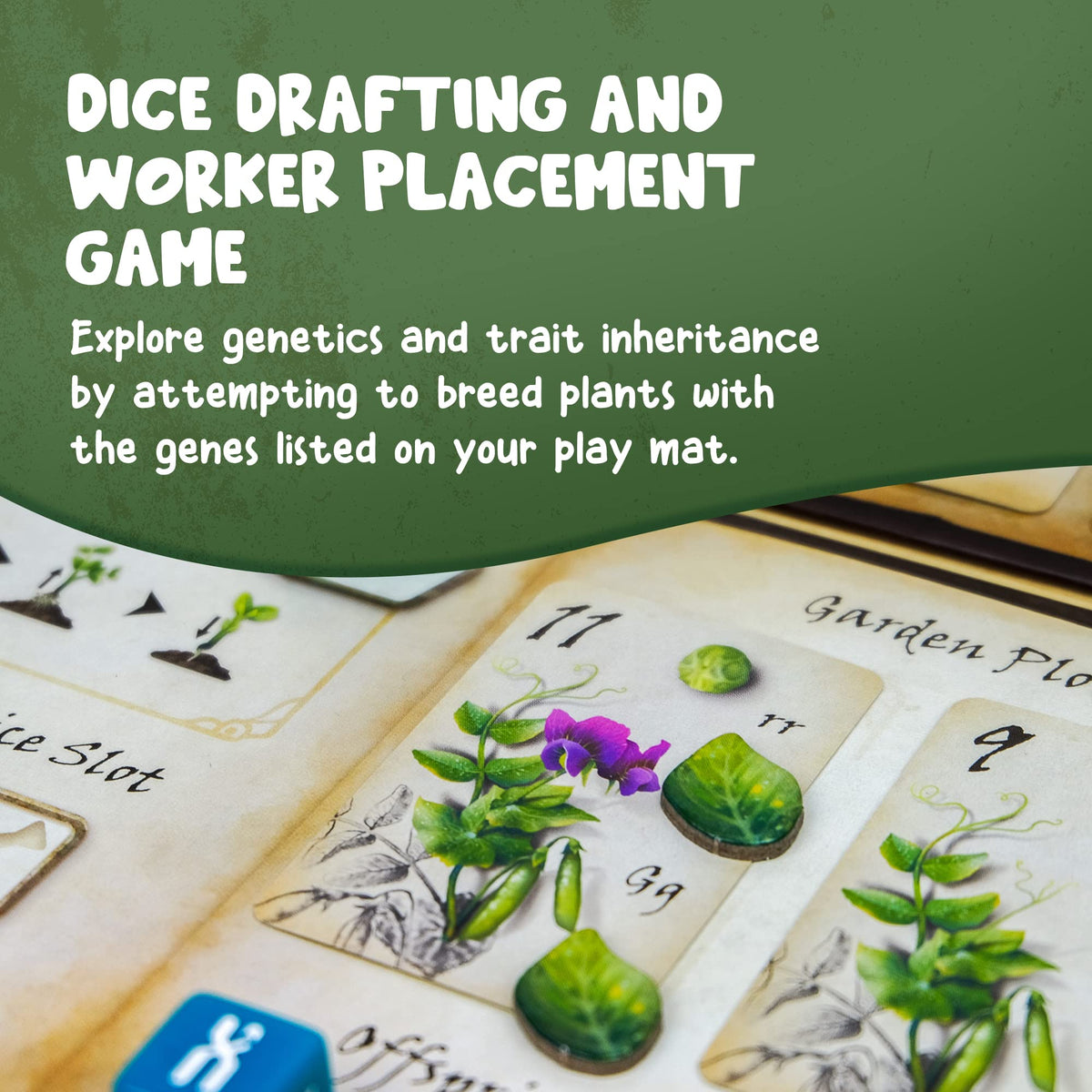 Genotype by Genius Games: science behind booklet provides expert context