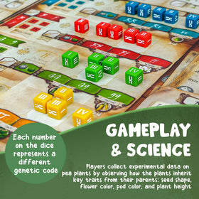 Genotype by Genius Games: solo mode for independent play