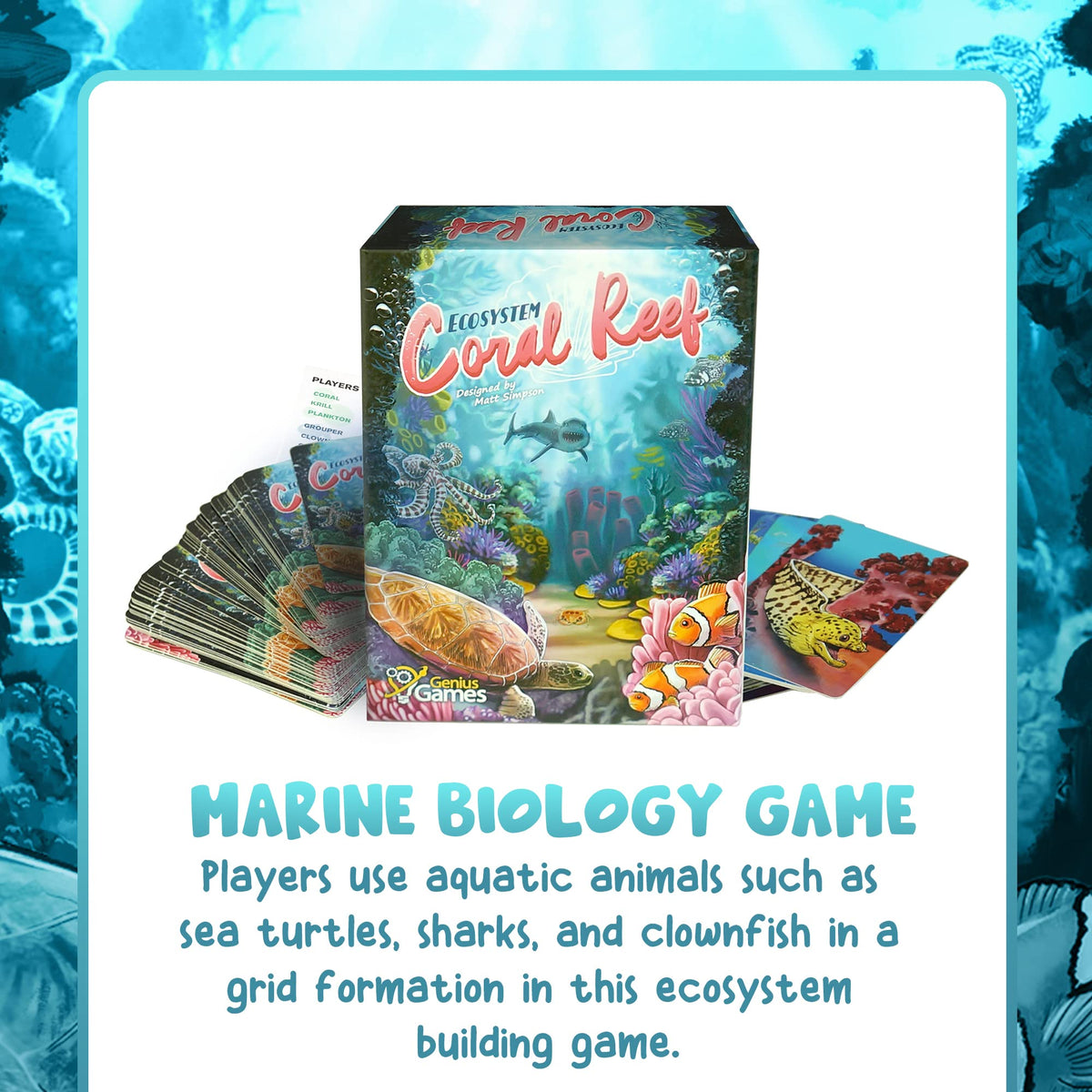 Genius Games great-barrier-reef-inspired-cards evoke reef dynamics for kids and adults.