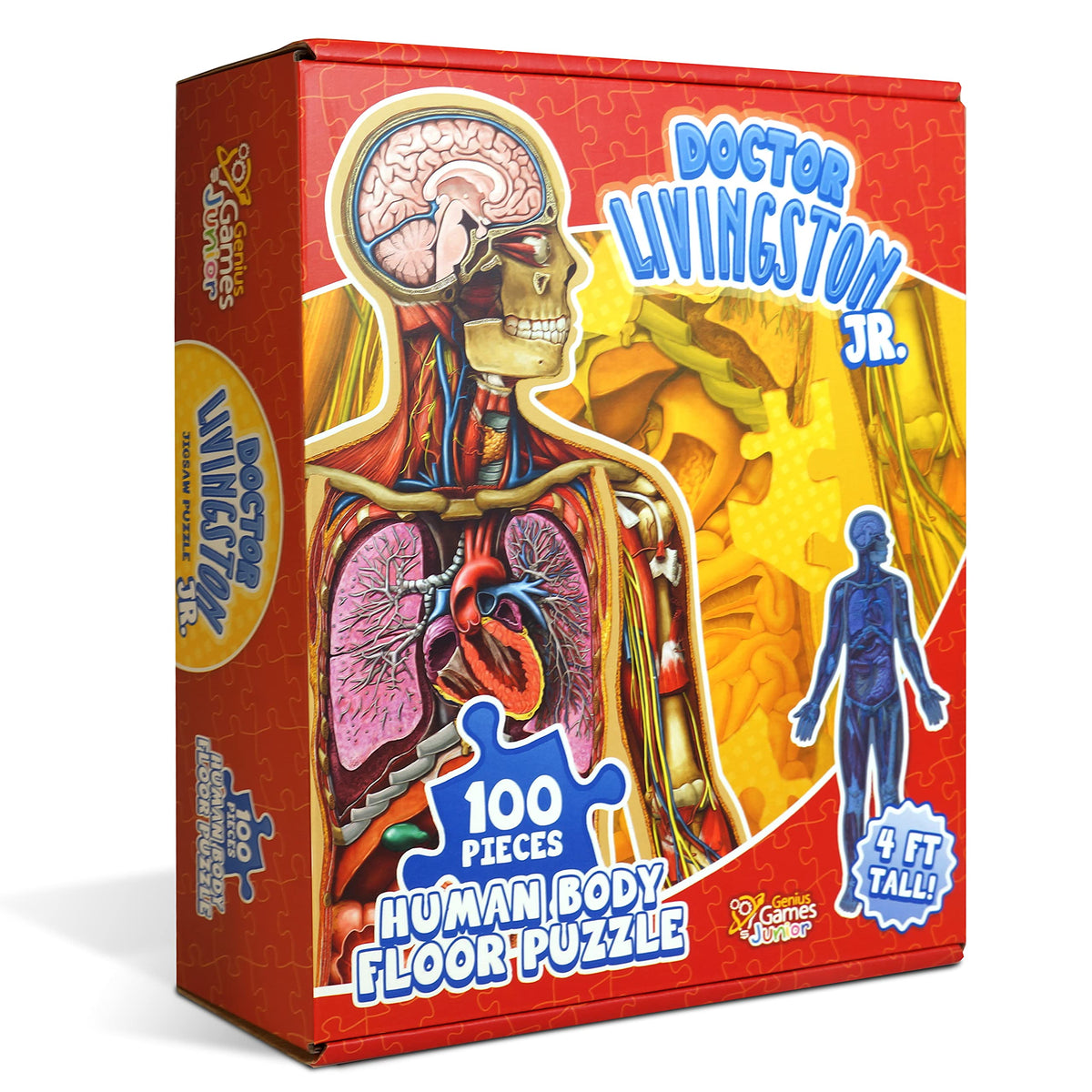 Genius Games human anatomy floor puzzle showing a life-size cross-section for interactive learning