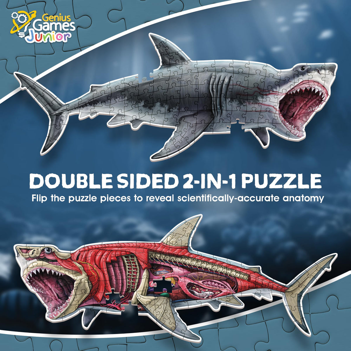 Genius Games large-floor puzzle art piece showcases Great White Shark for immersive learning.