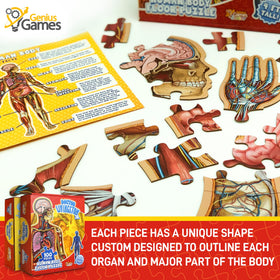 Colorful organs and body parts guide helps recognition during assembly