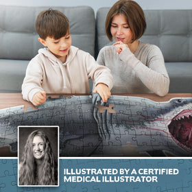 Genius Games poster-sized Anatomy Guide with fun facts for deeper learning.