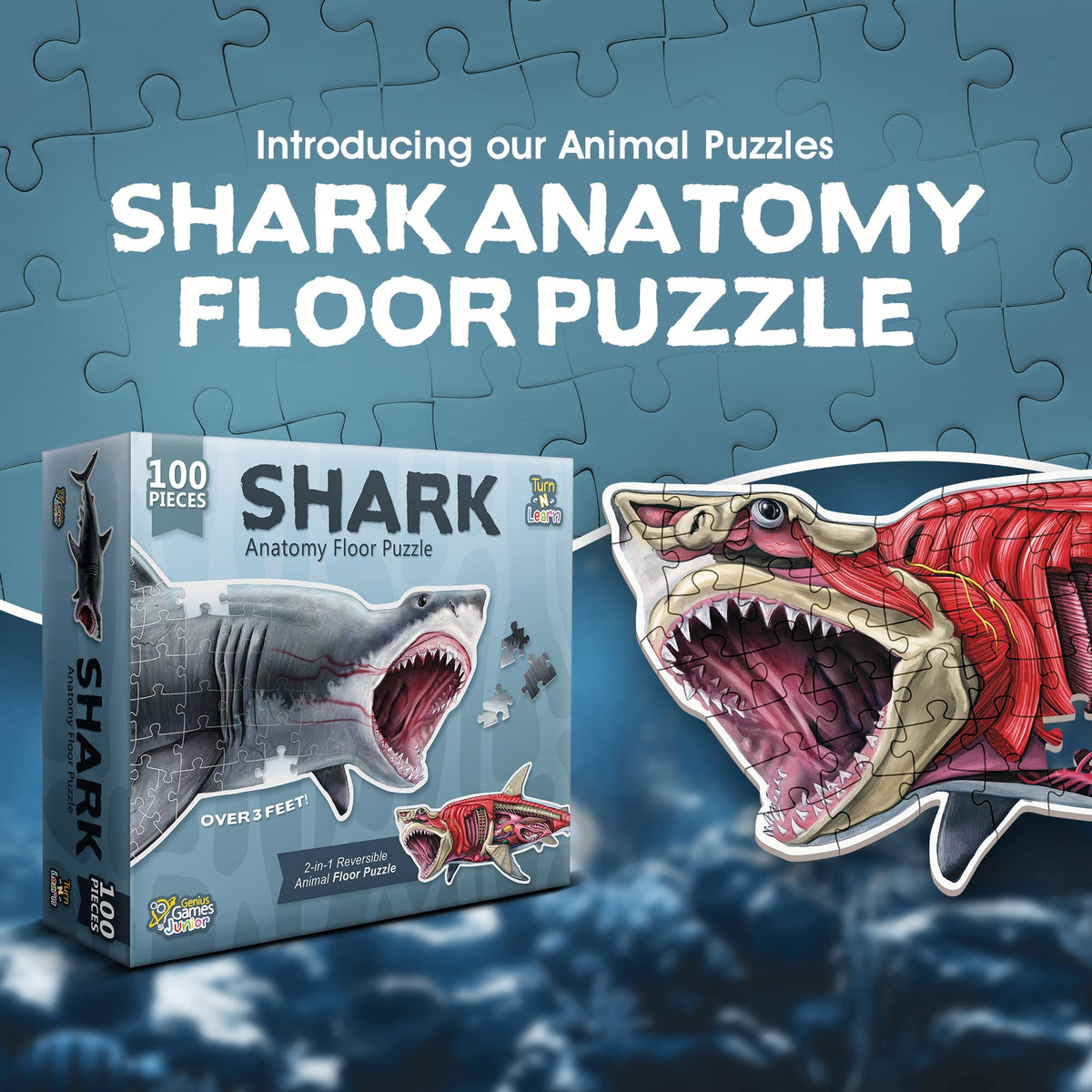 Genius Games Shark Anatomy double-sided puzzle back side anatomy guide for curious minds.