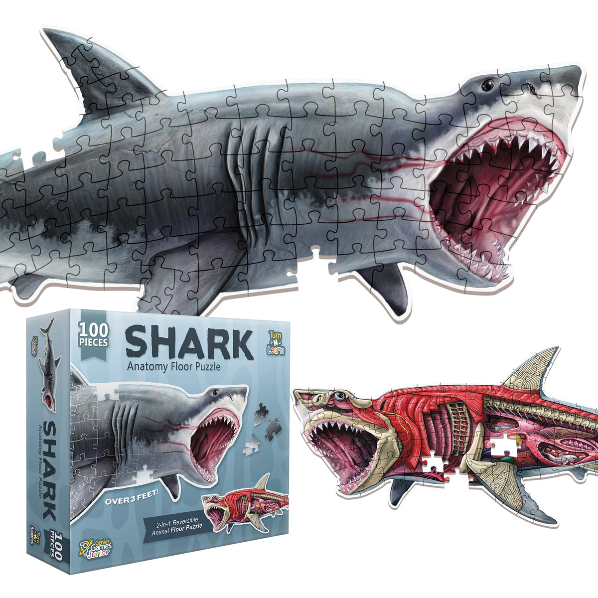 Genius Games Shark Anatomy puzzle featuring Great White Shark art for learning and family fun.