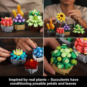 GEVINST Succulents Set desk display, adds greenery without upkeep