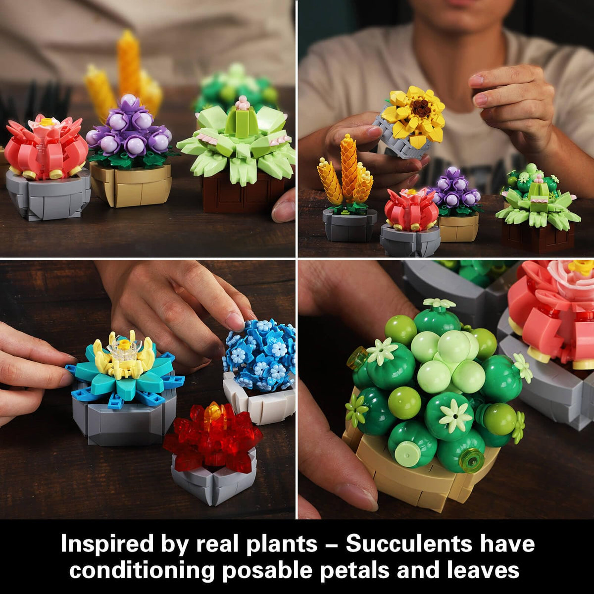 GEVINST Succulents Set desk display, adds greenery without upkeep