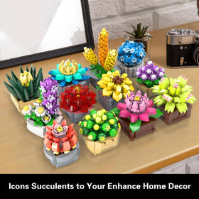 GEVINST Succulents Set living room arrangement, brightens coffee tables