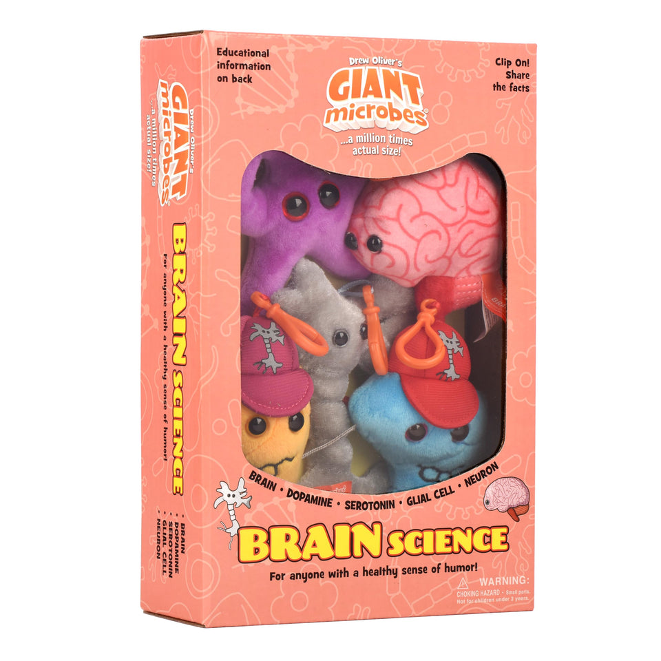 GIANT MICROBES brain gift box brain plush shown for engaging neuroanatomy learning.