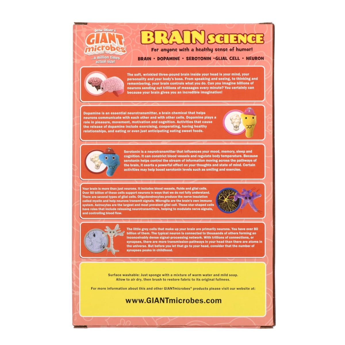 GIANT MICROBES brain gift box packaging image shows a ready-to-gift presentation.