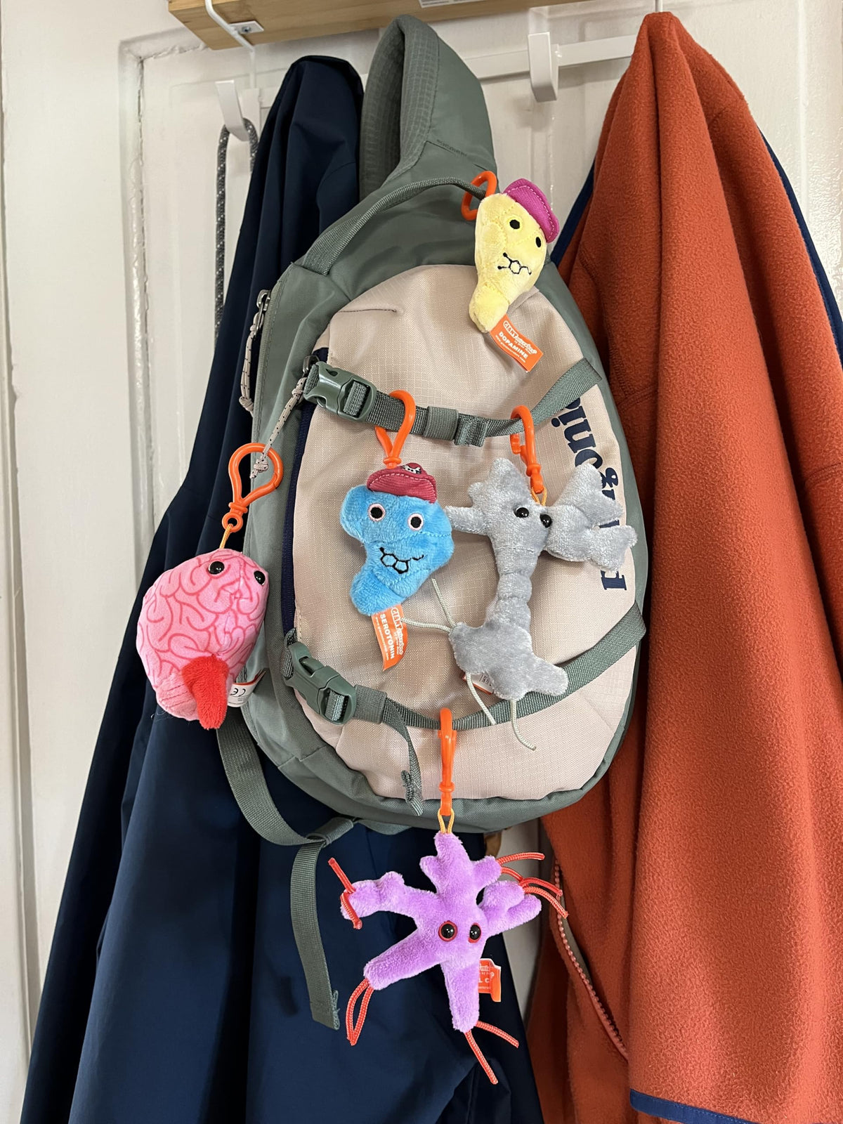 GIANT MICROBES brain gift box serotonin plush aids understanding of neurotransmitters in a playful way.