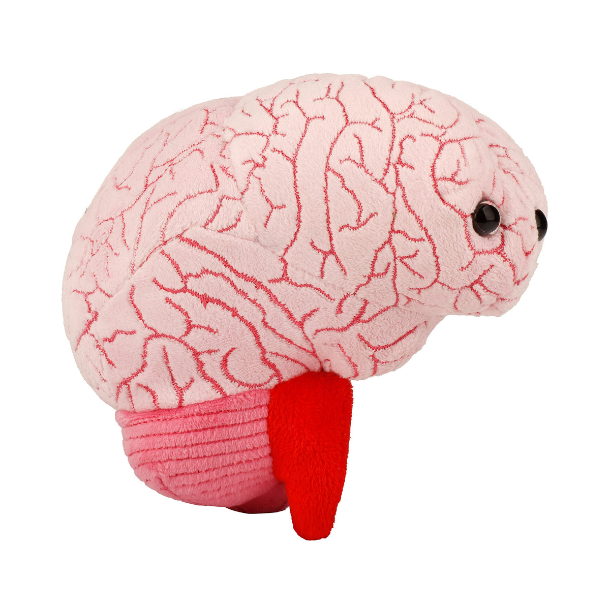 GIANT MICROBES brain organ plush with 6-inch size for cuddly learning