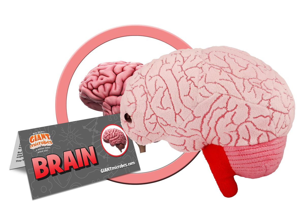 GIANT MICROBES plush features embroidered brain details for neuroanatomy study