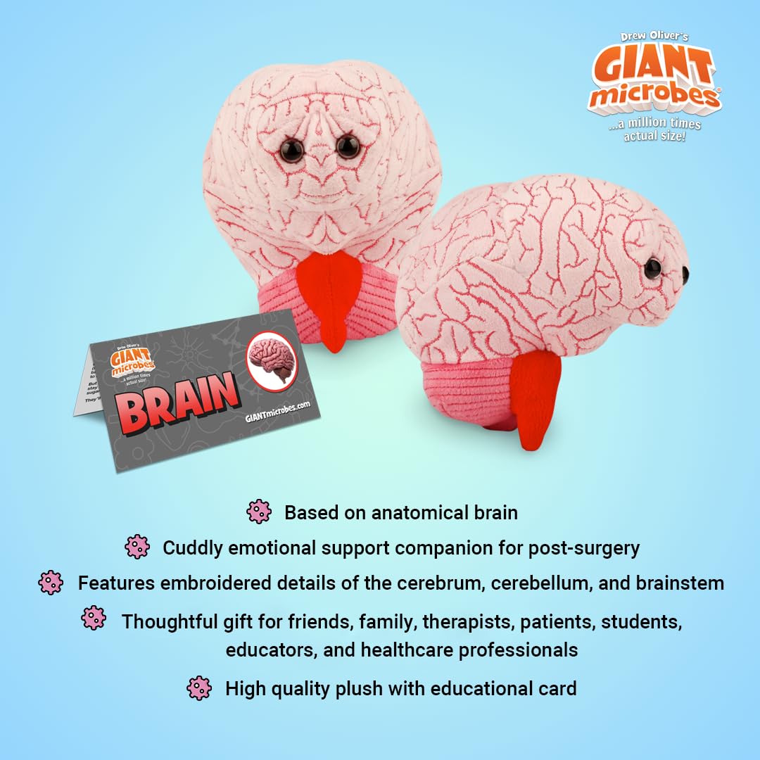 GIANT MICROBES neuroanatomy teaching aid for classrooms and clinics