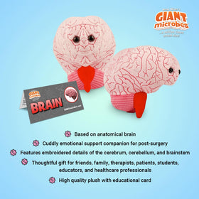 GIANT MICROBES neuroanatomy teaching aid for classrooms and clinics