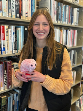 GIANT MICROBES office decor brain plush adds science-friendly vibe