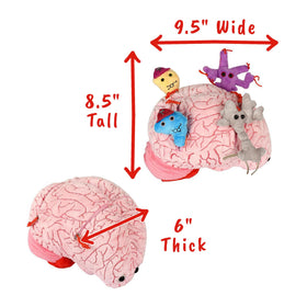 GIANTMICROBES Deluxe brain plush embroidery details highlight neuroanatomy for learning