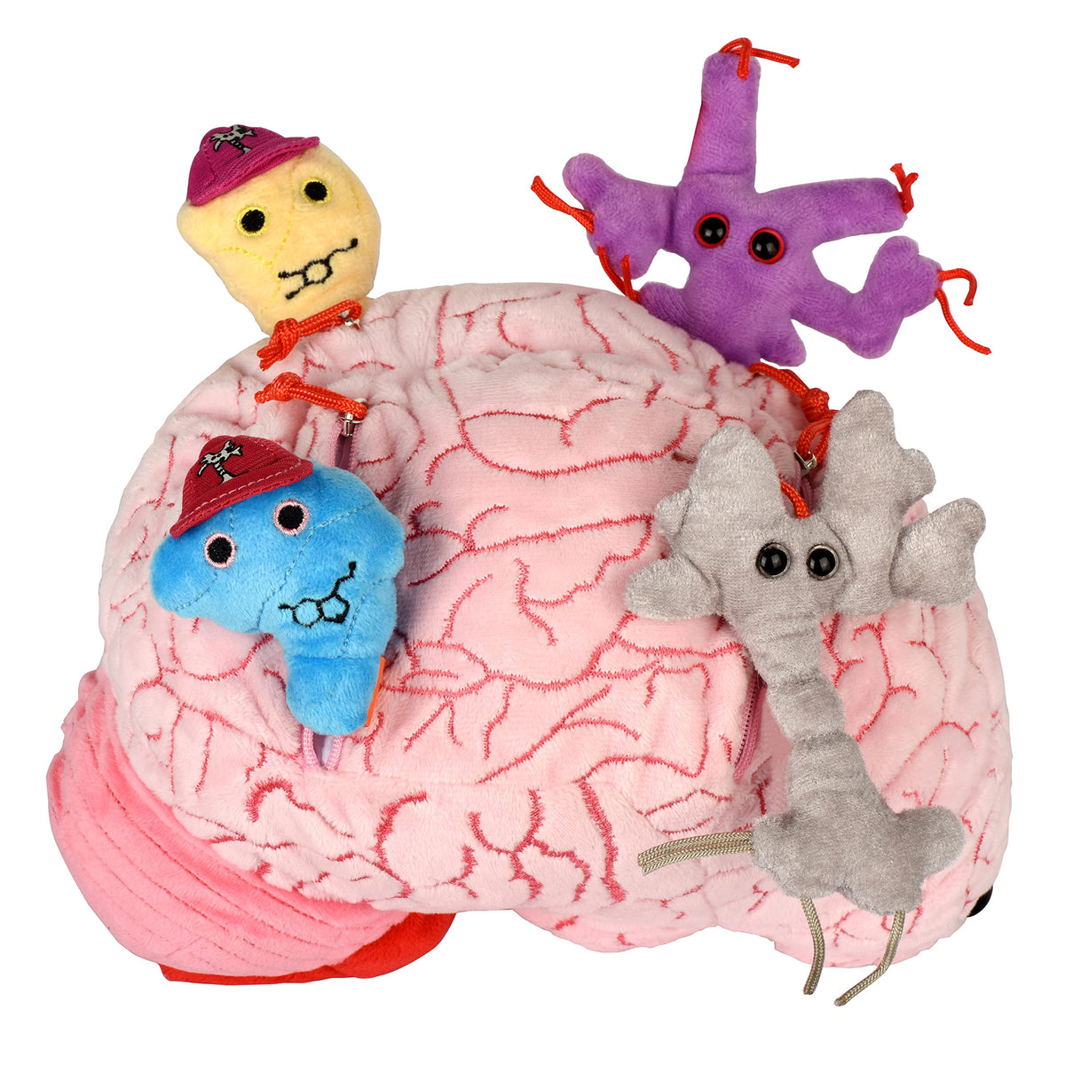 GIANTMICROBES Deluxe brain plush front view, soft educational decor for classrooms and clinics
