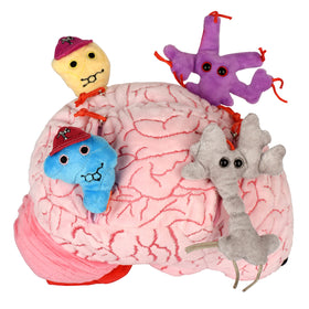 GIANTMICROBES Deluxe brain plush front view, soft educational decor for classrooms and clinics